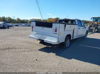 Lot #2995299916 2024 CHEVROLET SILVERADO 2500HD 4WD  LONG BED WORK TRUCK