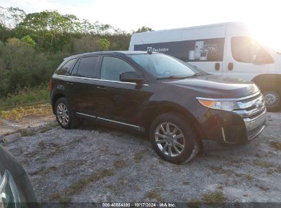 Lot #2992824683 2011 FORD EDGE LIMITED