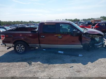 Lot #2996533800 2010 FORD F-150 FX4/HARLEY-DAVIDSON/KING RANCH/LARIAT/PLATINUM/XL/XLT