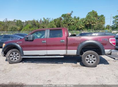 Lot #2996533800 2010 FORD F-150 FX4/HARLEY-DAVIDSON/KING RANCH/LARIAT/PLATINUM/XL/XLT