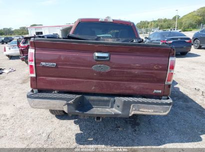 Lot #2996533800 2010 FORD F-150 FX4/HARLEY-DAVIDSON/KING RANCH/LARIAT/PLATINUM/XL/XLT