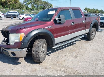 Lot #2996533800 2010 FORD F-150 FX4/HARLEY-DAVIDSON/KING RANCH/LARIAT/PLATINUM/XL/XLT