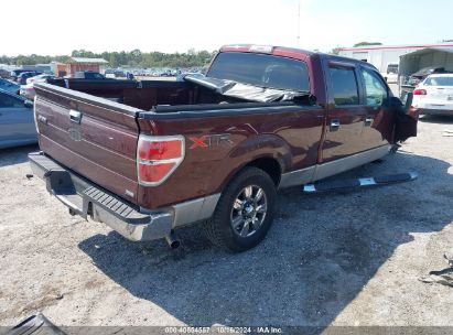 Lot #2996533800 2010 FORD F-150 FX4/HARLEY-DAVIDSON/KING RANCH/LARIAT/PLATINUM/XL/XLT