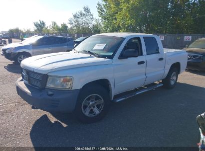 Lot #3035707875 2008 DODGE DAKOTA SXT