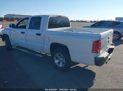 Lot #3035707875 2008 DODGE DAKOTA SXT