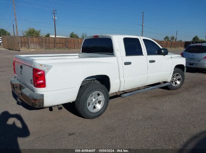 Lot #3035707875 2008 DODGE DAKOTA SXT