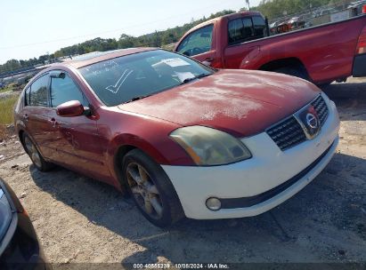 Lot #2995299859 2005 NISSAN MAXIMA 3.5 SE