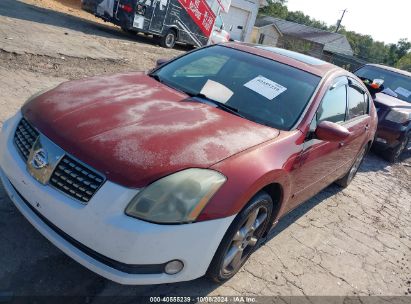 Lot #2995299859 2005 NISSAN MAXIMA 3.5 SE