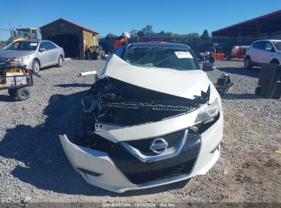 Lot #3035076841 2017 NISSAN MAXIMA 3.5 PLATINUM