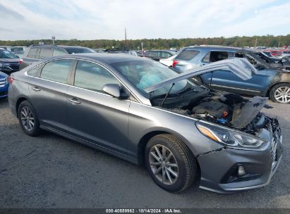 Lot #2992825100 2019 HYUNDAI SONATA SE