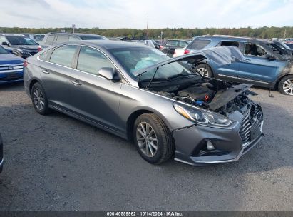 Lot #2992825100 2019 HYUNDAI SONATA SE