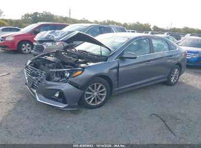 Lot #2992825100 2019 HYUNDAI SONATA SE