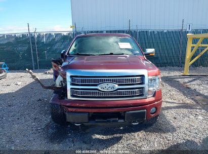 Lot #3021951535 2009 FORD F-150 FX4/KING RANCH/LARIAT/PLATINUM/XL/XLT