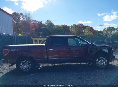 Lot #3021951535 2009 FORD F-150 FX4/KING RANCH/LARIAT/PLATINUM/XL/XLT