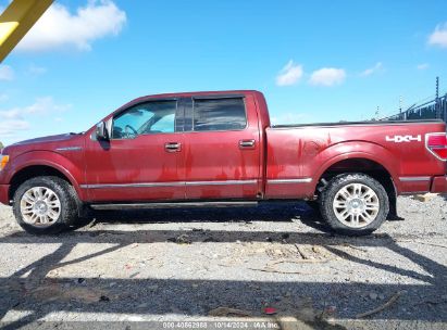 Lot #3021951535 2009 FORD F-150 FX4/KING RANCH/LARIAT/PLATINUM/XL/XLT