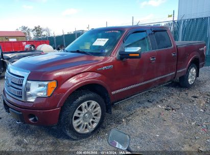 Lot #3021951535 2009 FORD F-150 FX4/KING RANCH/LARIAT/PLATINUM/XL/XLT