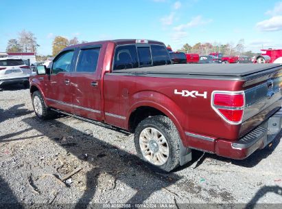 Lot #3021951535 2009 FORD F-150 FX4/KING RANCH/LARIAT/PLATINUM/XL/XLT