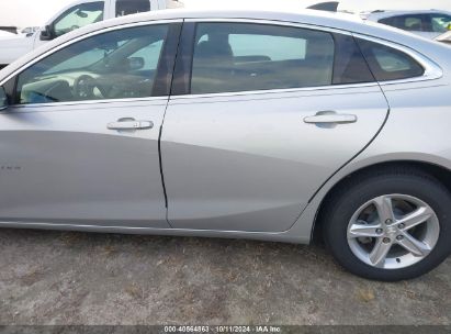 Lot #2992824894 2020 CHEVROLET MALIBU FWD LS