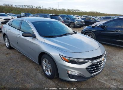 Lot #2992824894 2020 CHEVROLET MALIBU FWD LS