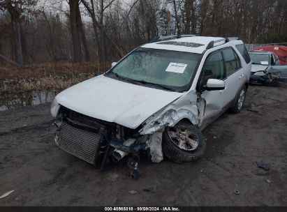 Lot #3052076988 2006 FORD FREESTYLE SEL