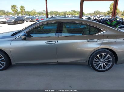 Lot #3042571173 2021 LEXUS ES 300H