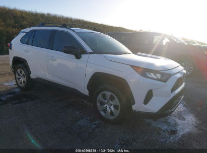 Lot #2995283101 2020 TOYOTA RAV4 LE