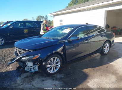 Lot #2992825002 2020 CHEVROLET MALIBU FWD LT