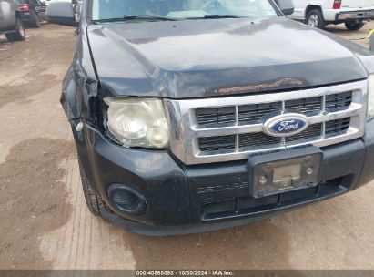 Lot #3035086479 2011 FORD ESCAPE XLS