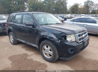 Lot #3035086479 2011 FORD ESCAPE XLS