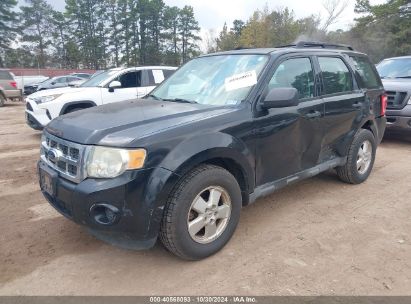 Lot #3035086479 2011 FORD ESCAPE XLS