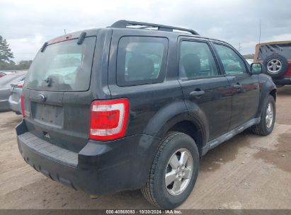 Lot #3035086479 2011 FORD ESCAPE XLS