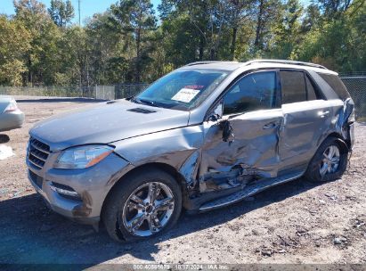 Lot #3053662148 2015 MERCEDES-BENZ ML 350 4MATIC