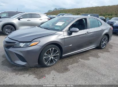 Lot #2992824873 2020 TOYOTA CAMRY SE