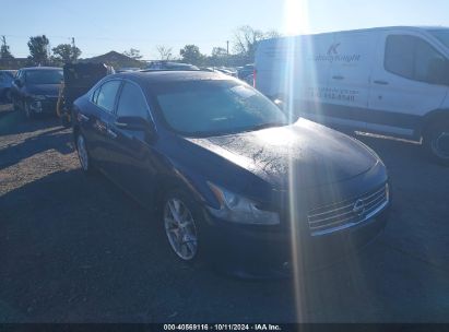 Lot #2995299195 2009 NISSAN MAXIMA 3.5 SV