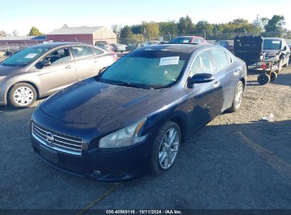 Lot #2995299195 2009 NISSAN MAXIMA 3.5 SV