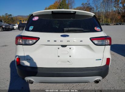 Lot #2995299166 2020 FORD ESCAPE SE