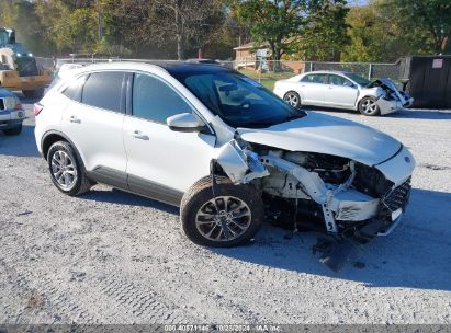 Lot #2995299166 2020 FORD ESCAPE SE