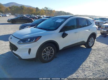 Lot #2995299166 2020 FORD ESCAPE SE