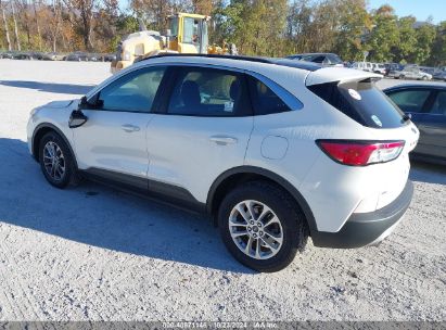 Lot #2995299166 2020 FORD ESCAPE SE