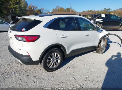 Lot #2995299166 2020 FORD ESCAPE SE