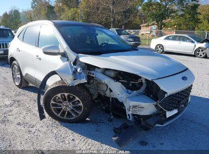 Lot #2995299166 2020 FORD ESCAPE SE