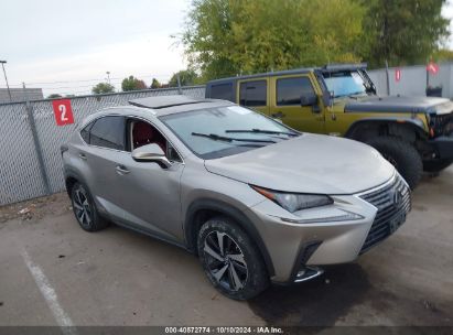 Lot #2992820246 2019 LEXUS NX 300H