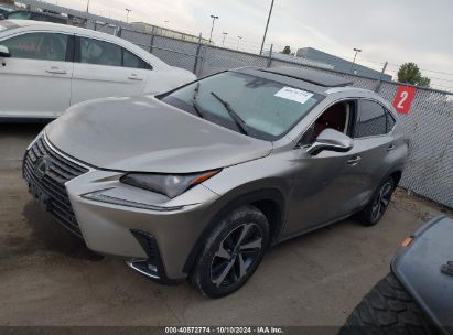 Lot #2992820246 2019 LEXUS NX 300H