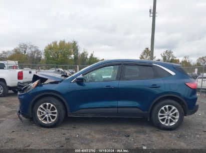 Lot #2995299149 2020 FORD ESCAPE SE