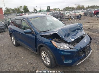 Lot #2995299149 2020 FORD ESCAPE SE