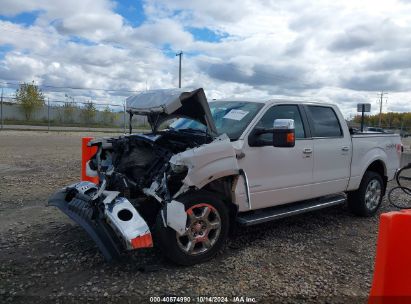 Lot #3018514326 2014 FORD F-150 KING RANCH