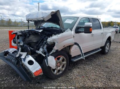 Lot #3018514326 2014 FORD F-150 KING RANCH