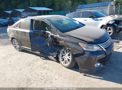 Lot #2997776067 2010 LEXUS HS 250H PREMIUM