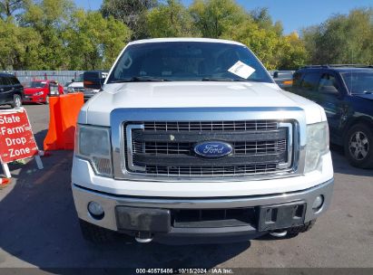 Lot #3045361019 2014 FORD F-150 XLT