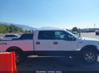 Lot #3045361019 2014 FORD F-150 XLT